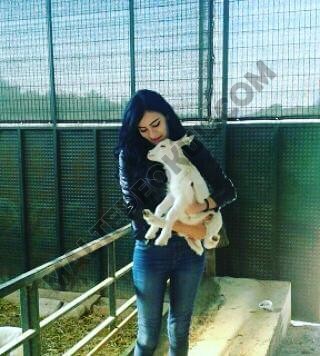 Pendik Escort Bayan Zehra - Image 4